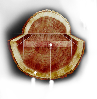 122cc太阳集成游戏(中国)有限公司官网