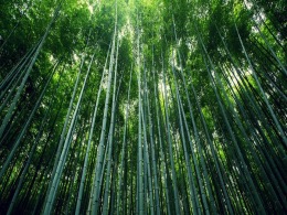 122cc太阳集成游戏(中国)有限公司官网